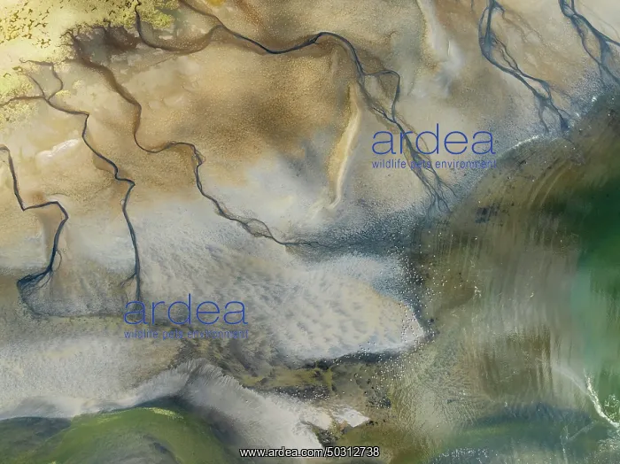  : Streams and marshes at low tide in the coastal wetlands of the Walvis Bay lagoon