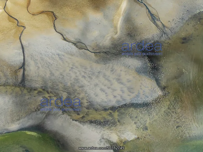 : Streams and marshes at low tide in the coastal wetlands of the Walvis Bay lagoon : Streams and marshes at low tide in the coastal wetlands of the Walvis Bay lagoon