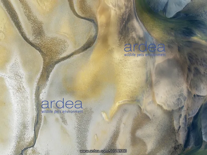 : Streams and marshes at low tide in the wetlands of the Walvis Bay lagoon : Streams and marshes at low tide in the wetlands of the Walvis Bay lagoon