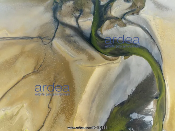 : Streams and marshes at low tide in the wetlands of the Walvis Bay lagoon : Streams and marshes at low tide in the wetlands of the Walvis Bay lagoon