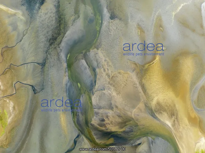 : Streams and marshes at low tide in the wetlands of the Walvis Bay lagoon : Streams and marshes at low tide in the wetlands of the Walvis Bay lagoon