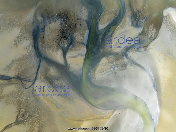 : Streams and marshes at low tide in the wetlands of the Walvis Bay lagoon : Streams and marshes at low tide in the wetlands of the Walvis Bay lagoon