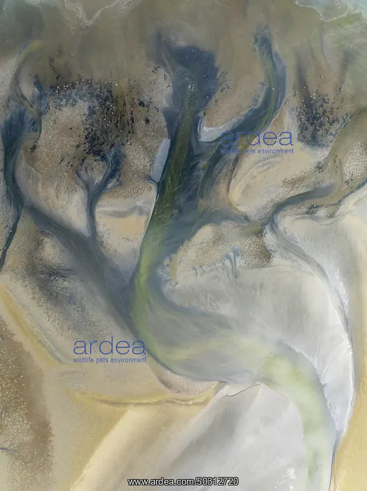 : Streams and marshes at low tide in the wetlands of the Walvis Bay lagoon : Streams and marshes at low tide in the wetlands of the Walvis Bay lagoon