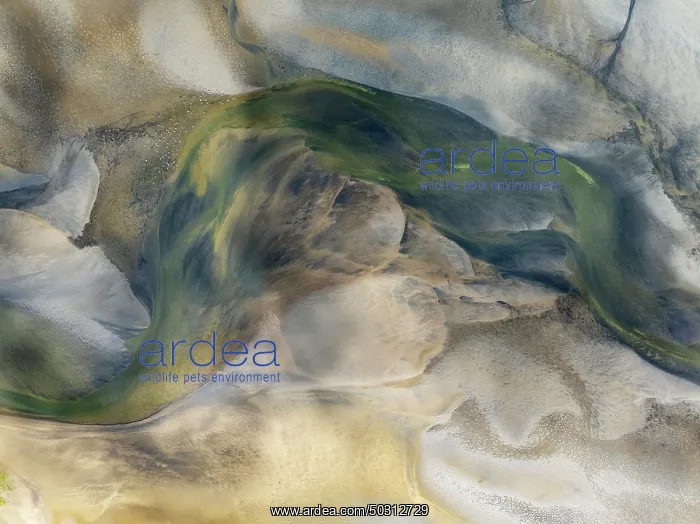 : Streams and marshes at low tide in the wetlands of the Walvis Bay lagoon : Streams and marshes at low tide in the wetlands of the Walvis Bay lagoon