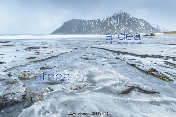 : Streams of water forms on the beach near Utakleiv : Streams of water forms on the beach near Utakleiv