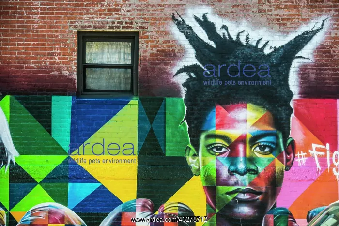  : Street art, graffiti, painted wall of a building