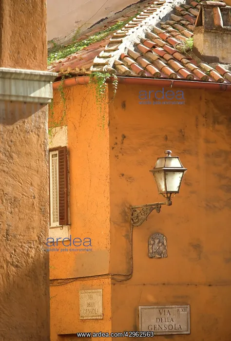 : Street corner : Street corner