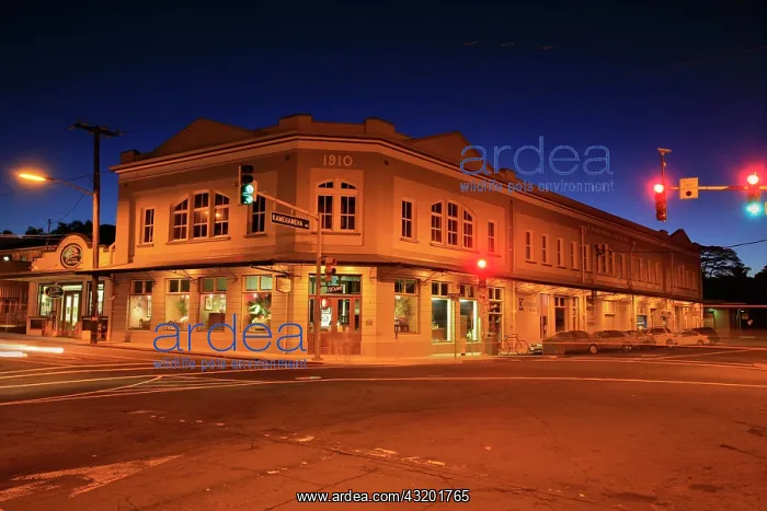 : Street corner on Kamehameha Drive with historic : Street corner on Kamehameha Drive with historic