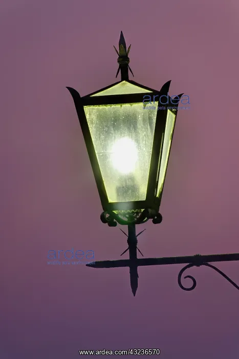 : Street light at dusk, Pienza, Italy, Tuscany : Street light at dusk, Pienza, Italy, Tuscany