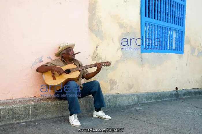 : Street musician playing guitar in the historic town : Street musician playing guitar in the historic town