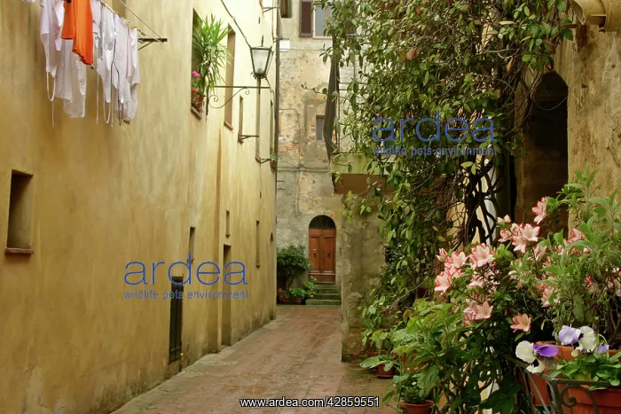 : Street scene in Pienza - historic building in the : Street scene in Pienza - historic building in the
