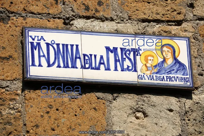 : Street sign for the Via Madonna della Maesta in : Street sign for the Via Madonna della Maesta in