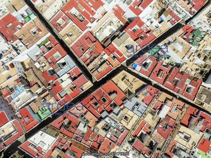 : Streets and rooftops in the town of Cádiz : Streets and rooftops in the town of Cádiz