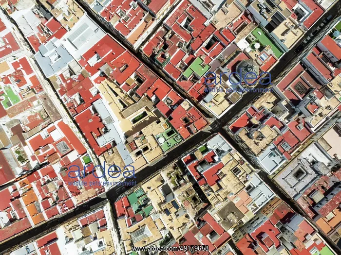  : Streets and rooftops in the town of Cádiz