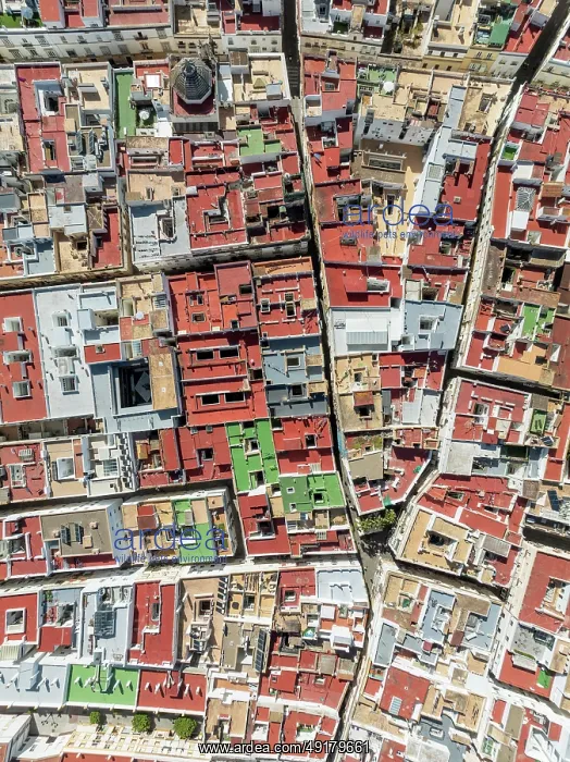 : Streets and rooftops in the town of Cádiz : Streets and rooftops in the town of Cádiz