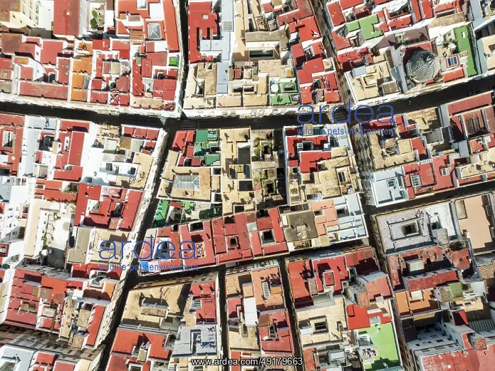 : Streets and rooftops in the town of Cádiz : Streets and rooftops in the town of Cádiz