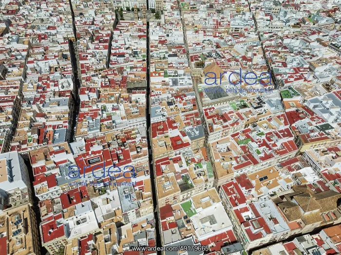 : Streets and rooftops in the town of Cádiz : Streets and rooftops in the town of Cádiz