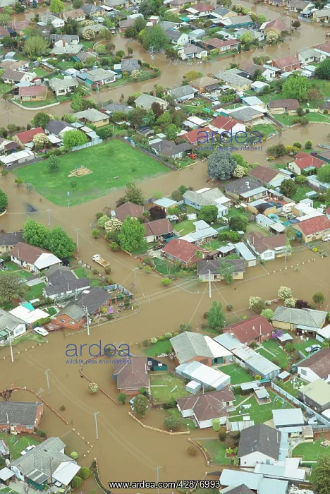 : Streets under water aerial, Shepparton : Streets under water aerial, Shepparton