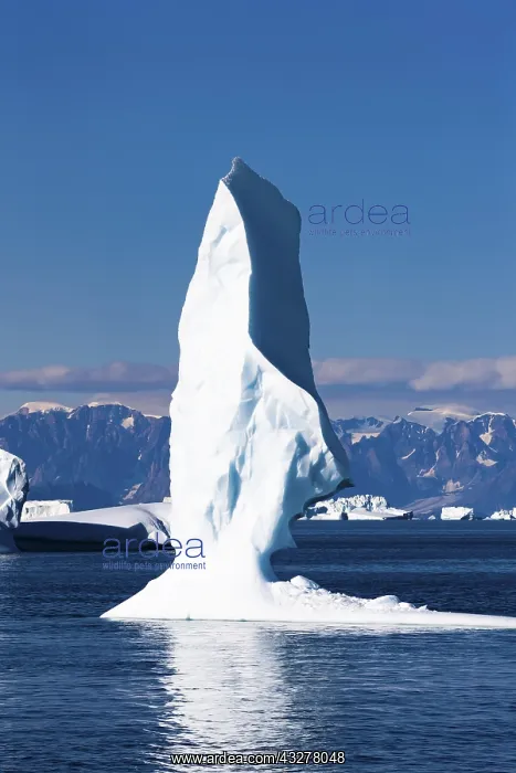 : Striking iceberg, Scoresbysund, East Greenland : Striking iceberg, Scoresbysund, East Greenland