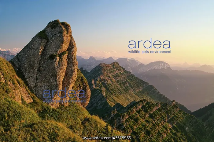 : Striking rock in front of Mount Federispitz in the : Striking rock in front of Mount Federispitz in the