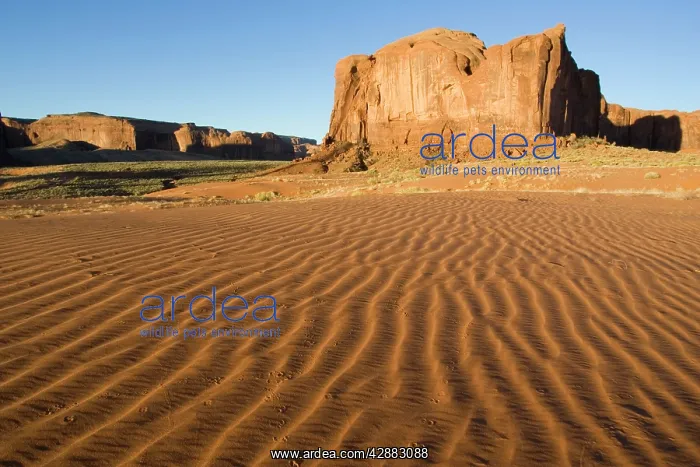 : Structural forms in the sand against the background : Structural forms in the sand against the background