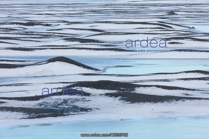 : Structure Ice Iceland Snow lava and ice in winter Icela : Structure Ice Iceland Snow lava and ice in winter Icela