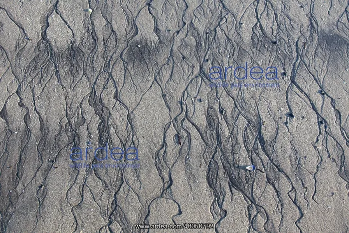 : Structure Sand Iceland Sand at beach Snaefellsnes, Icel : Structure Sand Iceland Sand at beach Snaefellsnes, Icel