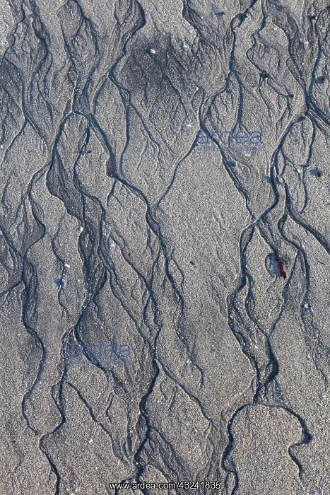 : Structure Sand Iceland Sand at beach Snaefellsnes, Icel : Structure Sand Iceland Sand at beach Snaefellsnes, Icel