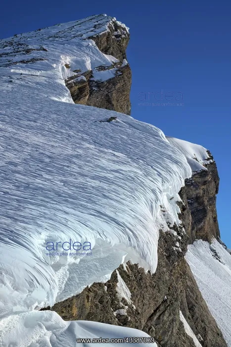 : Structured snow cornices in an ice and snow landscape : Structured snow cornices in an ice and snow landscape
