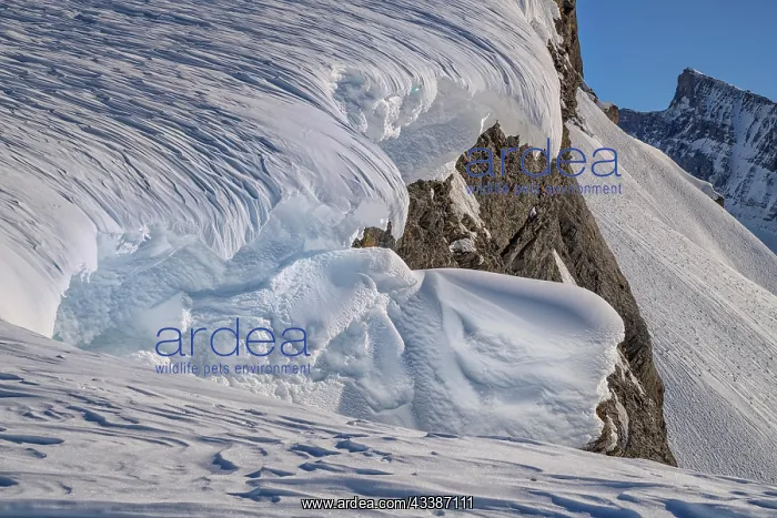 : Structured snow cornices in an ice and snow landscape : Structured snow cornices in an ice and snow landscape