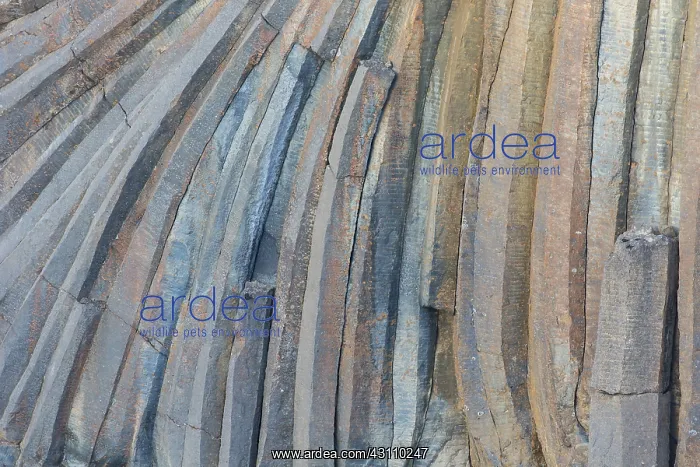 : Structures in basalt stones at river Skjalfandafljot : Structures in basalt stones at river Skjalfandafljot