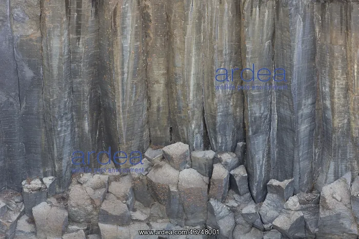 : Structures in basalt stones at river Skjalfandafljot : Structures in basalt stones at river Skjalfandafljot