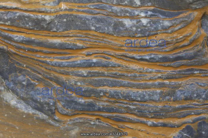 : Structures at stones - Athabasca-Glacier at Jasper : Structures at stones - Athabasca-Glacier at Jasper