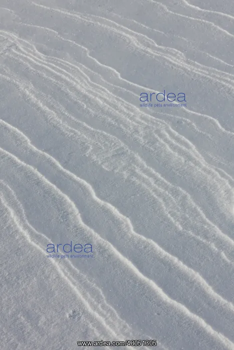 : Struktures snow Patterns in winter snow Lofoten, Norway : Struktures snow Patterns in winter snow Lofoten, Norway