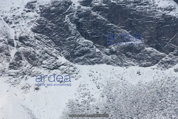 : Struktures stone Mountains in snow Lofoten, Norway : Struktures stone Mountains in snow Lofoten, Norway