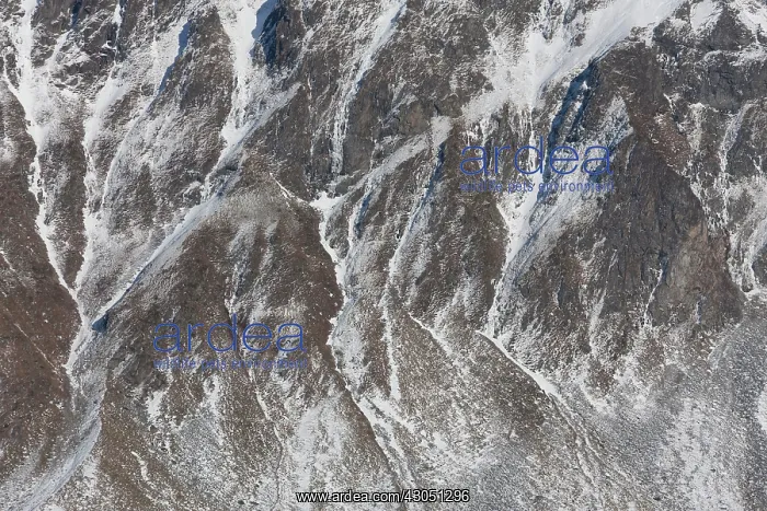 : Struktures stone Mountains in snow Lofoten, Norway : Struktures stone Mountains in snow Lofoten, Norway