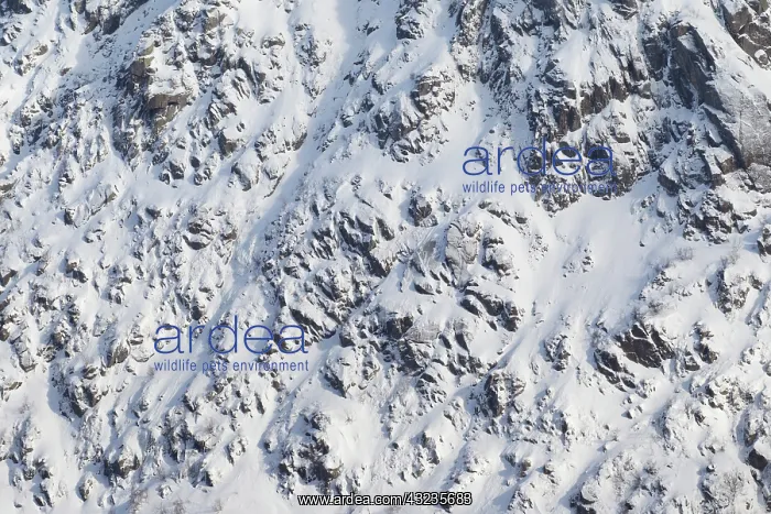 : Struktures stone Mountains in snow Lofoten, Norway : Struktures stone Mountains in snow Lofoten, Norway