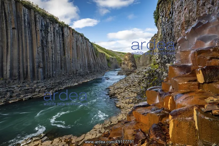  : Studlagil Basalt Canyon, gorge in the Jokuldalur Valley