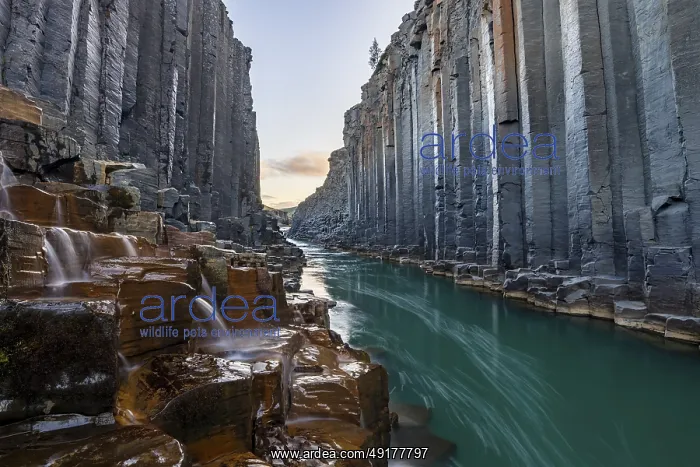 : Studlagil Basalt Canyon, gorge in the Jokuldalur Valley