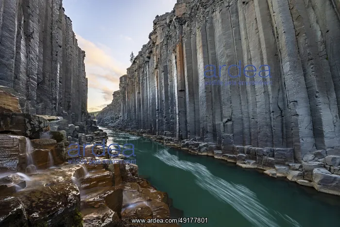  : Studlagil Basalt Canyon, gorge in the Jokuldalur Valley