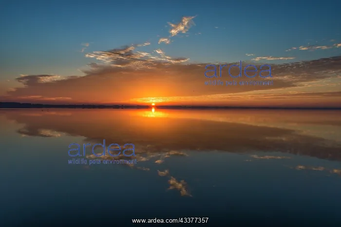 : Stunning colors of sunrise and clouds reflected : Stunning colors of sunrise and clouds reflected