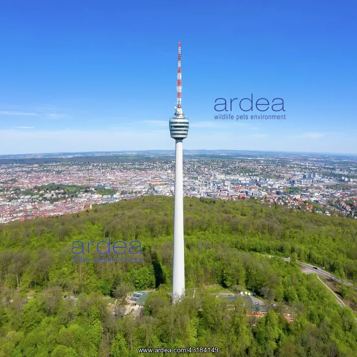 : Stuttgart TV Tower Stuttgart Tower Skyline Aerial : Stuttgart TV Tower Stuttgart Tower Skyline Aerial
