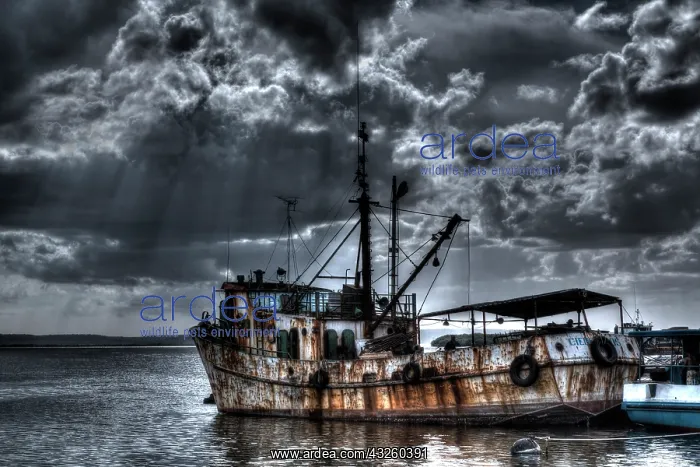 : Stylized grungy treatment on old fishing : Stylized grungy treatment on old fishing