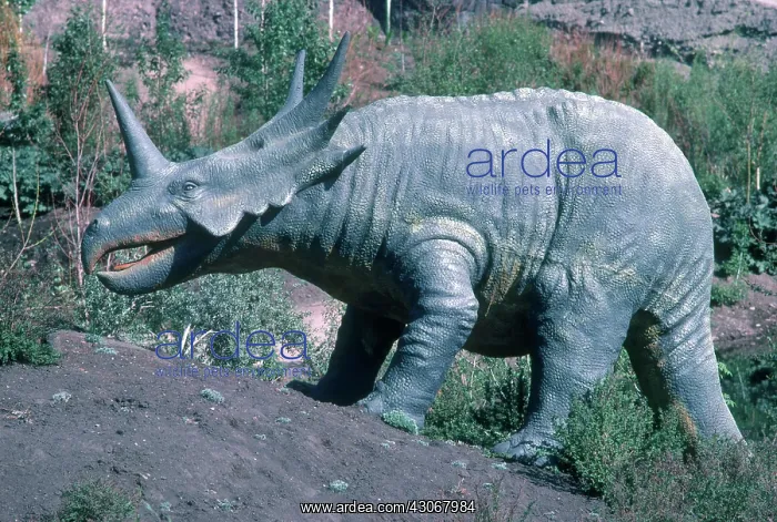 : Styracosaurus : Styracosaurus