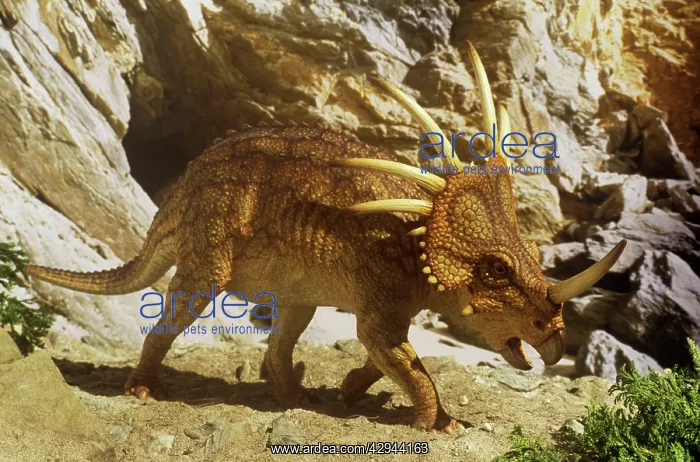 : Styracosaurus near cave : Styracosaurus near cave