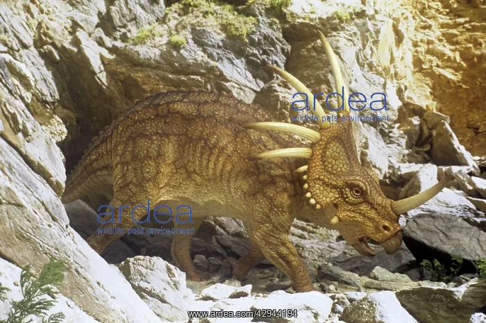 : Styracosaurus outside cave retreat : Styracosaurus outside cave retreat