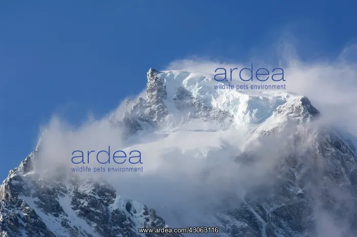 : Sub-Antarcctic Island, South Georgia, Drygalski : Sub-Antarcctic Island, South Georgia, Drygalski