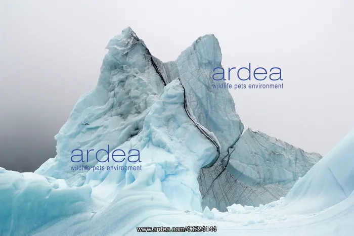 : Sub-Antarctic Islands, South Sandwich Islands : Sub-Antarctic Islands, South Sandwich Islands