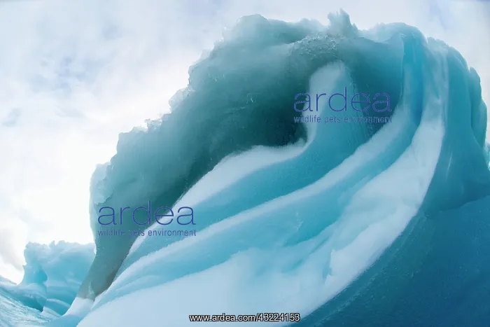 : Sub-Antarctic Islands, South Sandwich Islands : Sub-Antarctic Islands, South Sandwich Islands