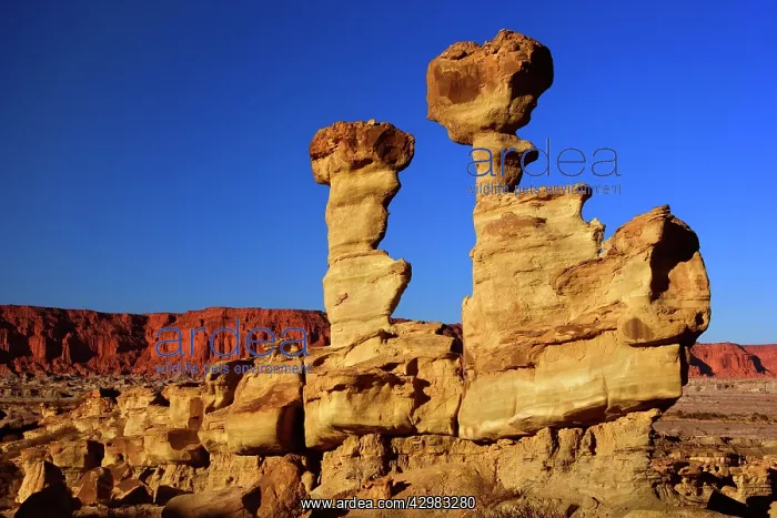  : Submarine Rock - prehistoric geological rock formation